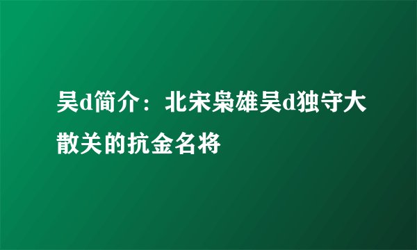 吴d简介：北宋枭雄吴d独守大散关的抗金名将