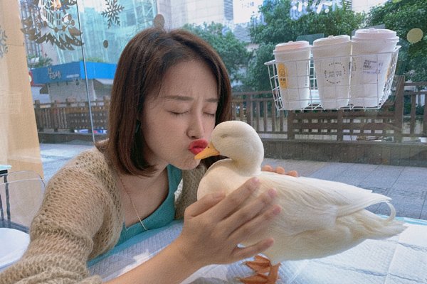 蓝盈莹回应与曹骏复合传闻，手机壳上李现是炒作？