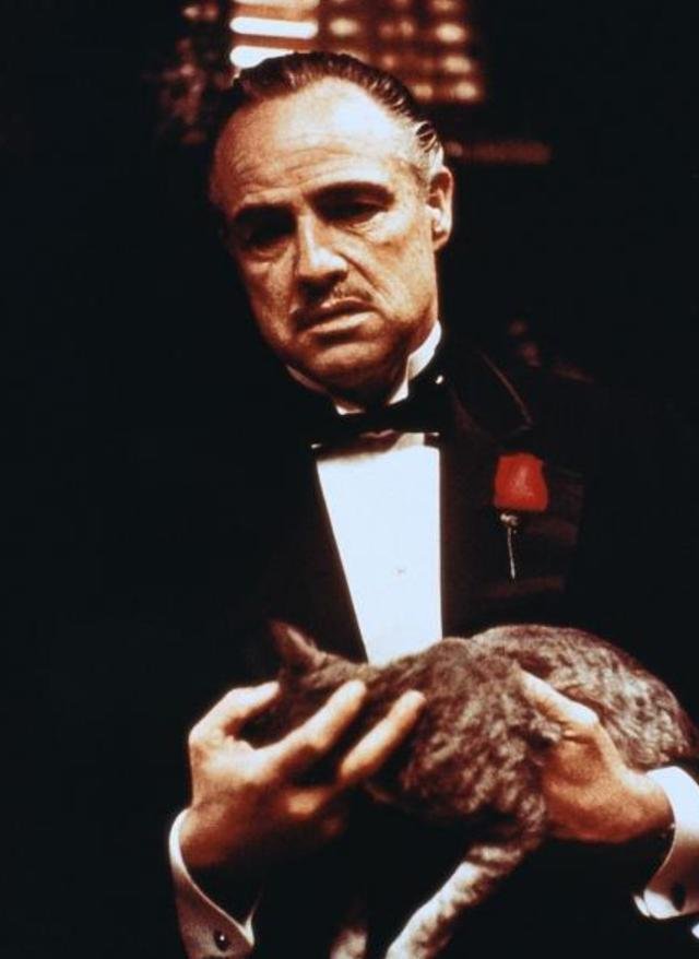 电影《教父》主要讲的是什么？