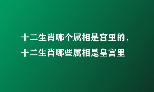 十二生肖哪个属相是宫里的，十二生肖哪些属相是皇宫里