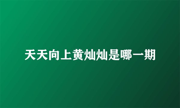 天天向上黄灿灿是哪一期