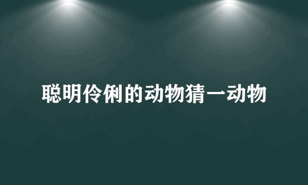 聪明伶俐的动物猜一动物