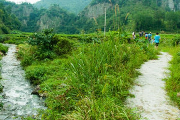 你莫走什么电视剧的插曲？