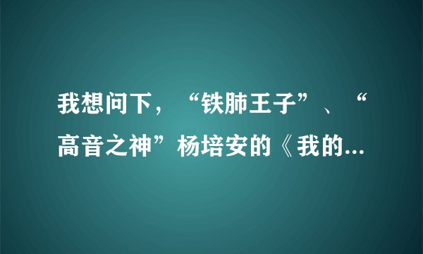 我想问下，“铁肺王子”、“高音之神”杨培安的《我的骄傲》的歌词是？谢谢的！