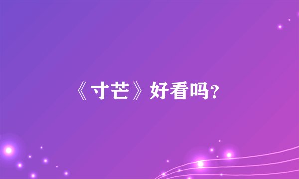 《寸芒》好看吗？