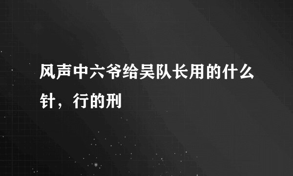 风声中六爷给吴队长用的什么针，行的刑