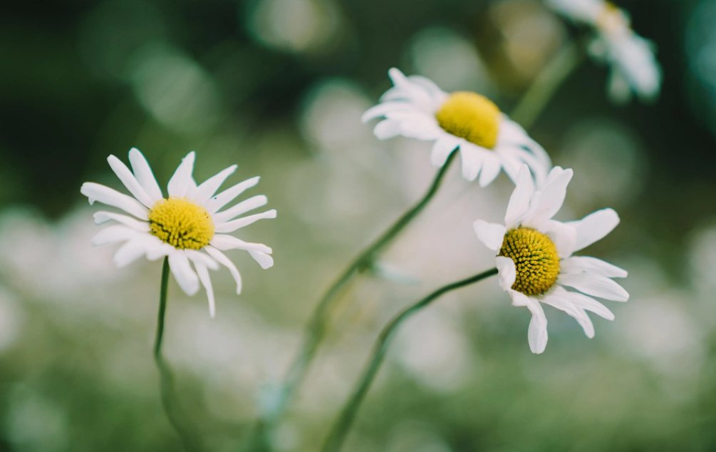 二年级没有了就没有了写句子