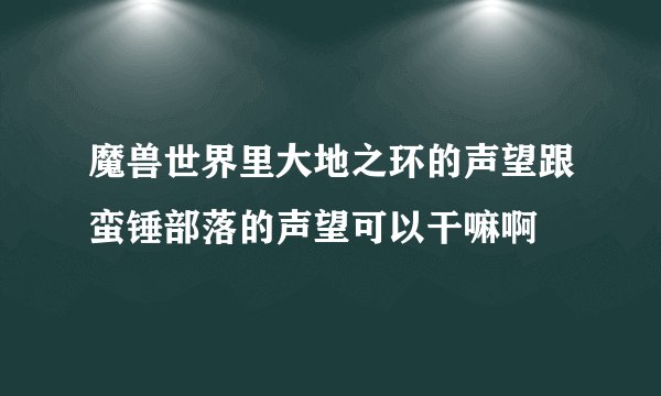 魔兽世界里大地之环的声望跟蛮锤部落的声望可以干嘛啊