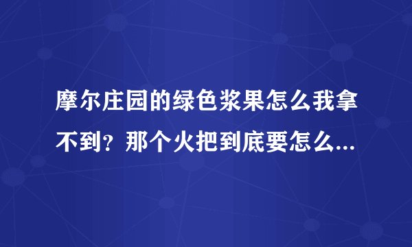 摩尔庄园的绿色浆果怎么我拿不到？那个火把到底要怎么点亮？？？投个炮竹怎么不行啊？？