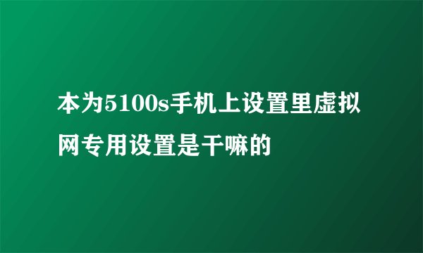 本为5100s手机上设置里虚拟网专用设置是干嘛的