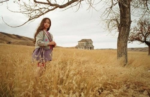 《潮涨海岸》中女邻居戴尔和洛斯发生了什么故事？