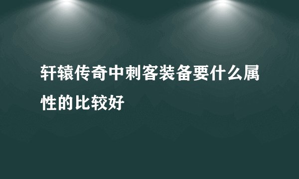 轩辕传奇中刺客装备要什么属性的比较好