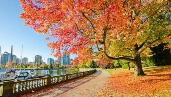 加拿大面积多少平方公里?人口多少?