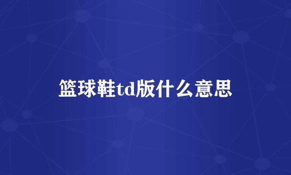 篮球鞋td版什么意思