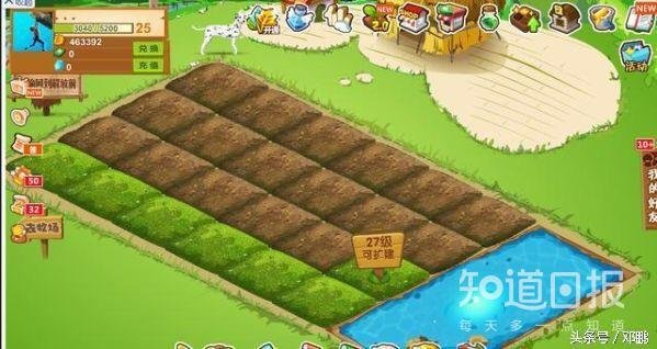 qq最高多少级？