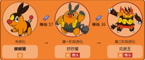 球海獭如何进化？