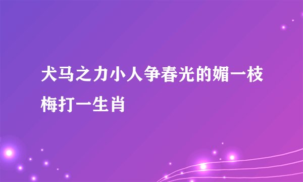犬马之力小人争春光的媚一枝梅打一生肖