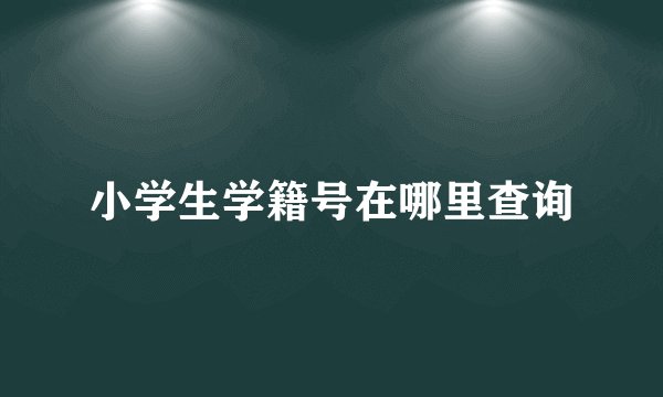 小学生学籍号在哪里查询