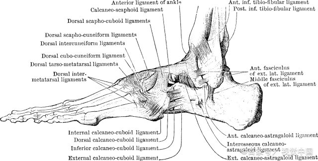 10天地震2万次，冰岛火山或将喷发，为何休眠了8百年的火山会突然爆发？