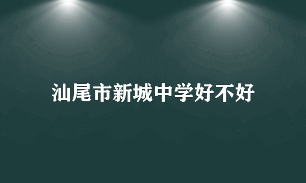 汕尾市新城中学好不好