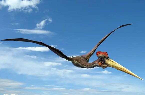 霸王龙的天敌都有谁？