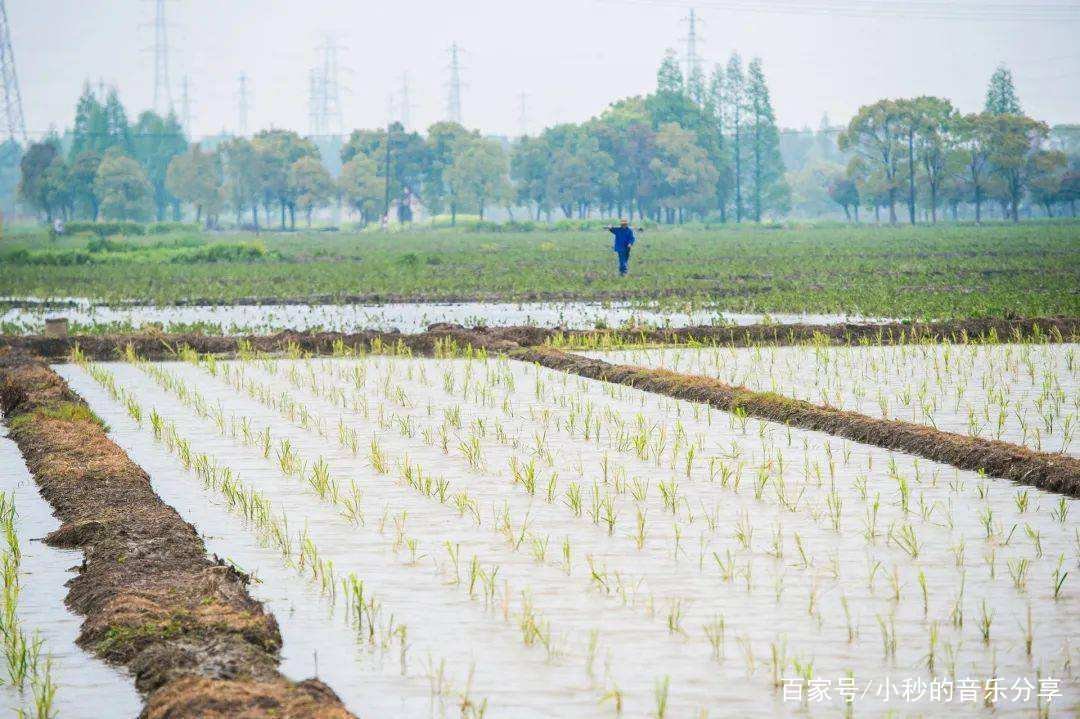 应种尽种，一亩地也不撂荒，如何才能稳住农业生产？