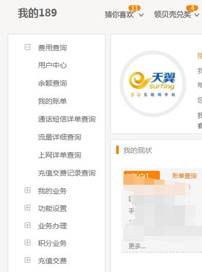 如何查询手机的通话详单？