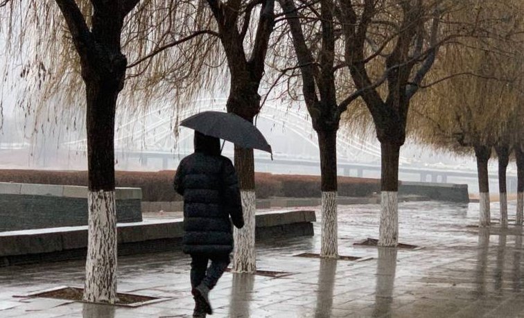 三九天下雨怎么回事