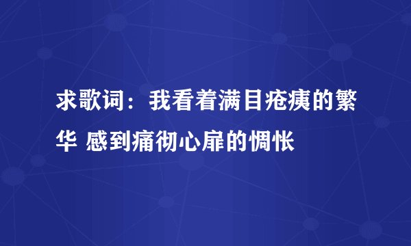 求歌词：我看着满目疮痍的繁华 感到痛彻心扉的惆怅