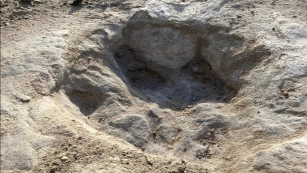 美国河流干旱露出1亿年前恐龙脚印，恐龙最早出现在哪个时期？