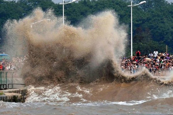 《观潮》课文生字组词和拼音