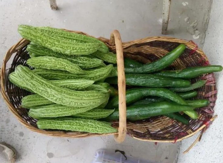 一个人在家用黄瓜还是用苦瓜