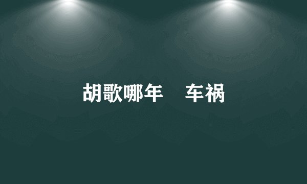 胡歌哪年岀车祸