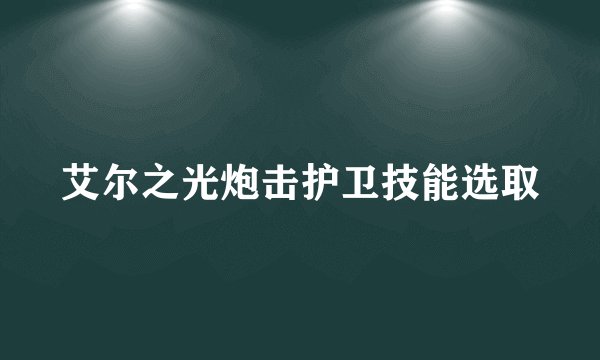 艾尔之光炮击护卫技能选取