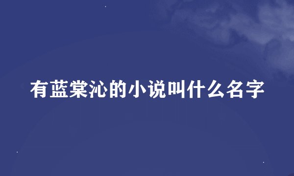 有蓝棠沁的小说叫什么名字
