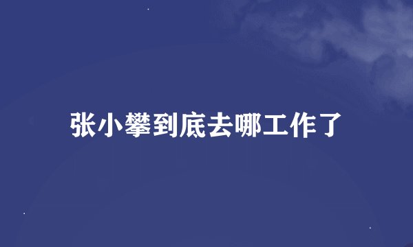 张小攀到底去哪工作了