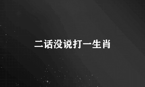 二话没说打一生肖