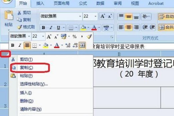 excel表格复制后无法粘贴