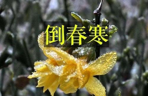 今年为什么会出现“倒春寒”的现象？