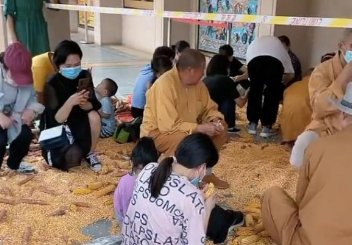 白马寺僧人剥玉米的场景吸引游客围观，为何众多游客加入了剥玉米大军