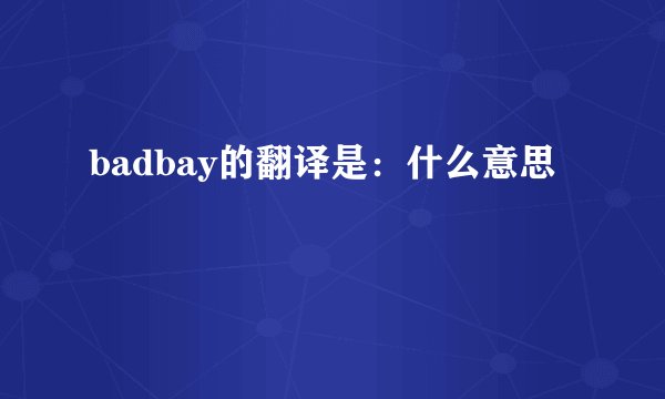 badbay的翻译是：什么意思
