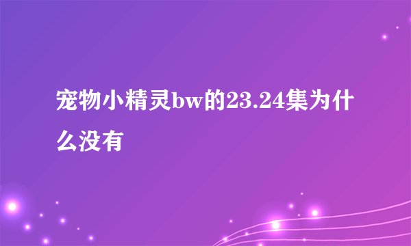 宠物小精灵bw的23.24集为什么没有