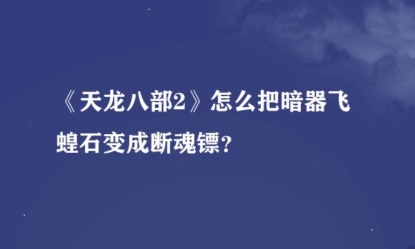 《天龙八部2》怎么把暗器飞蝗石变成断魂镖？