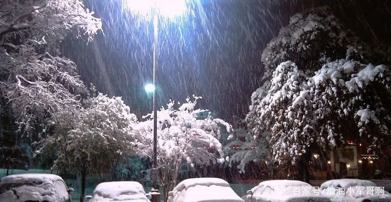 张卫平被人们戏称为卫平布莱恩特，有何寓意呢？