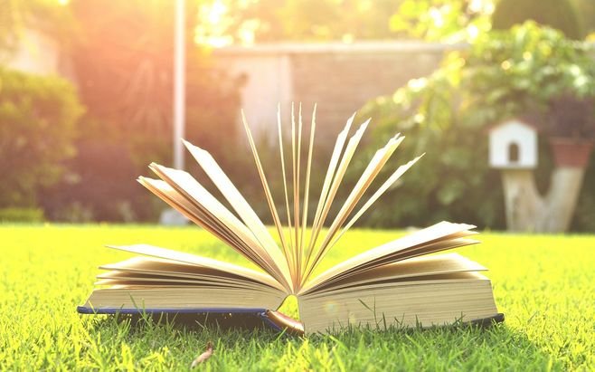 请问《蜜汁肉桃》讲了什么？