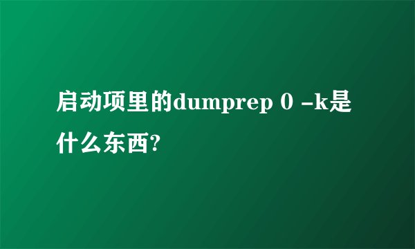 启动项里的dumprep 0 -k是什么东西?