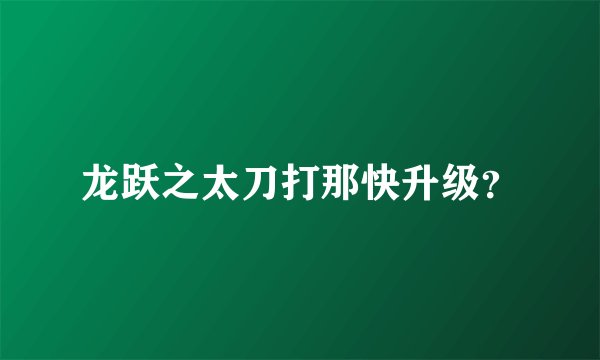 龙跃之太刀打那快升级？