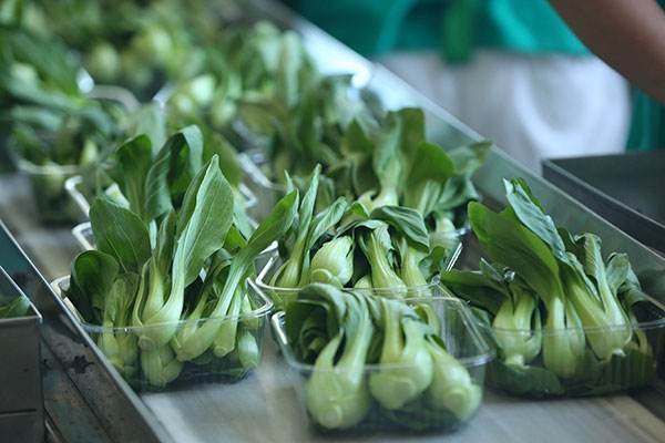 北京一小区封闭后几小时就开始发菜，新鲜蔬菜是如何送到封控区的？