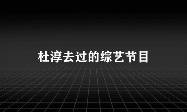 杜淳去过的综艺节目