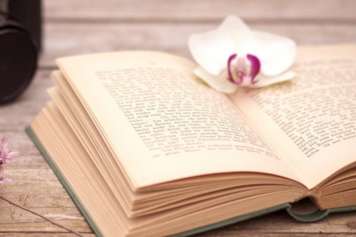 什么的声音填拟声词